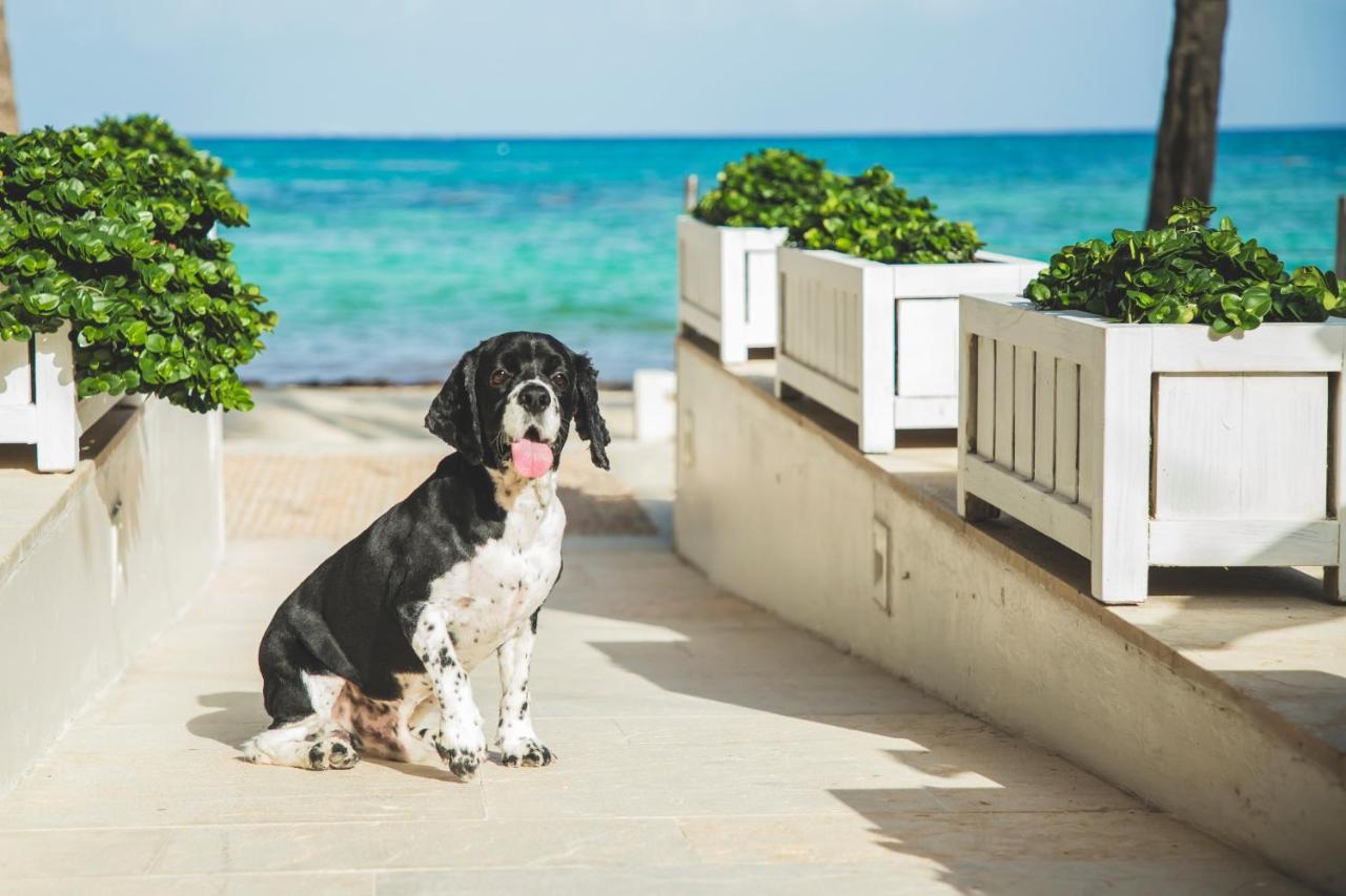 Thompson Playa Del Carmen Beach House, By Hyatt Luaran gambar